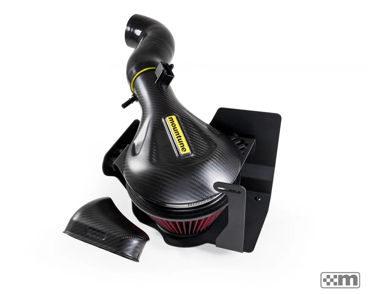 Carbon Induction Kit [Mk7 Fiesta St] 1