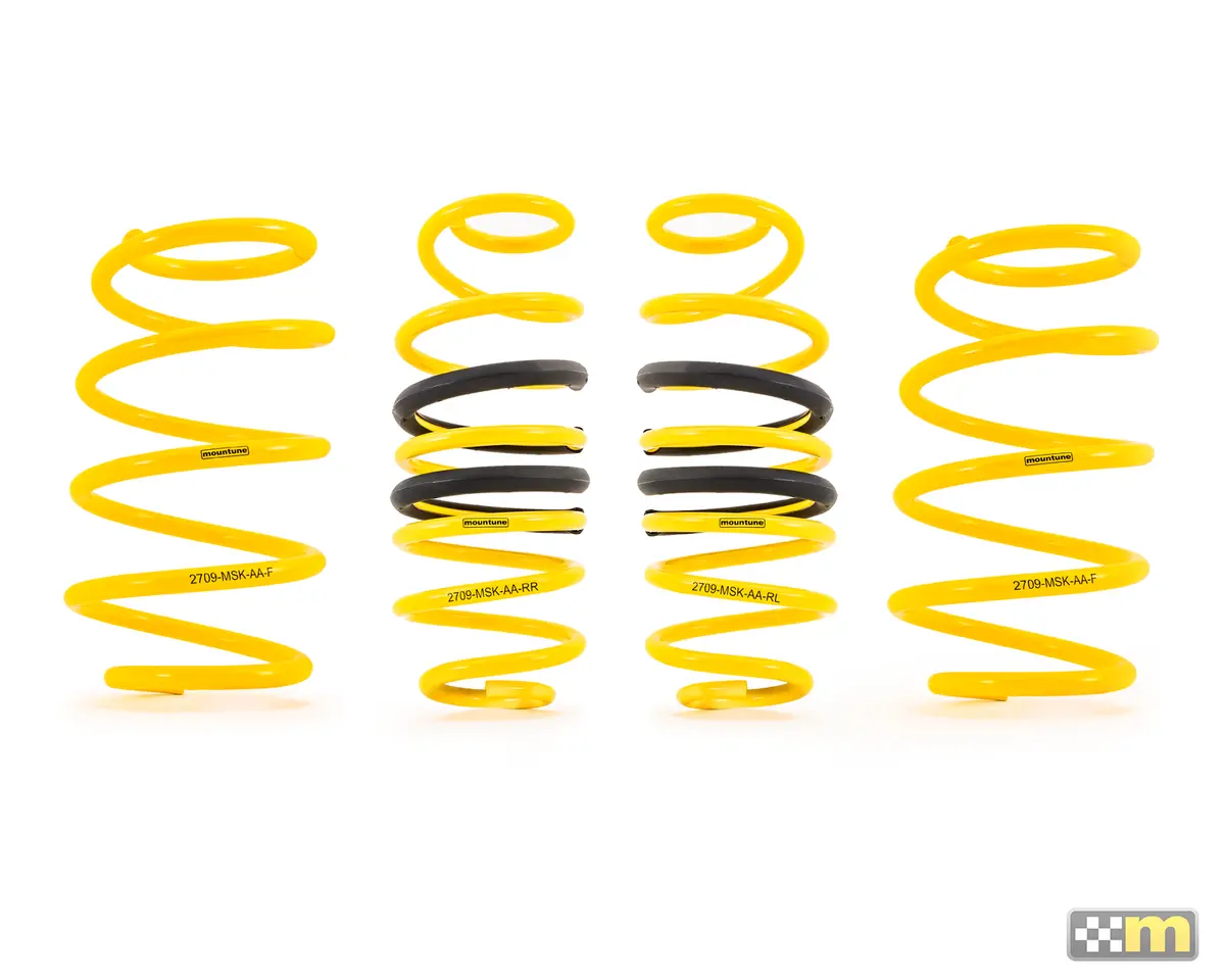 Sport Spring Kit [Mk8 Fiesta St] 1