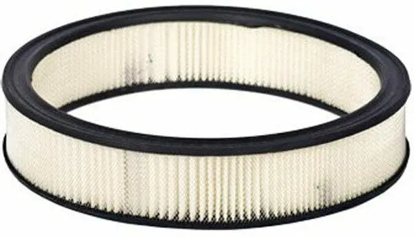 Pr302 Replacement Air Filter Element 1